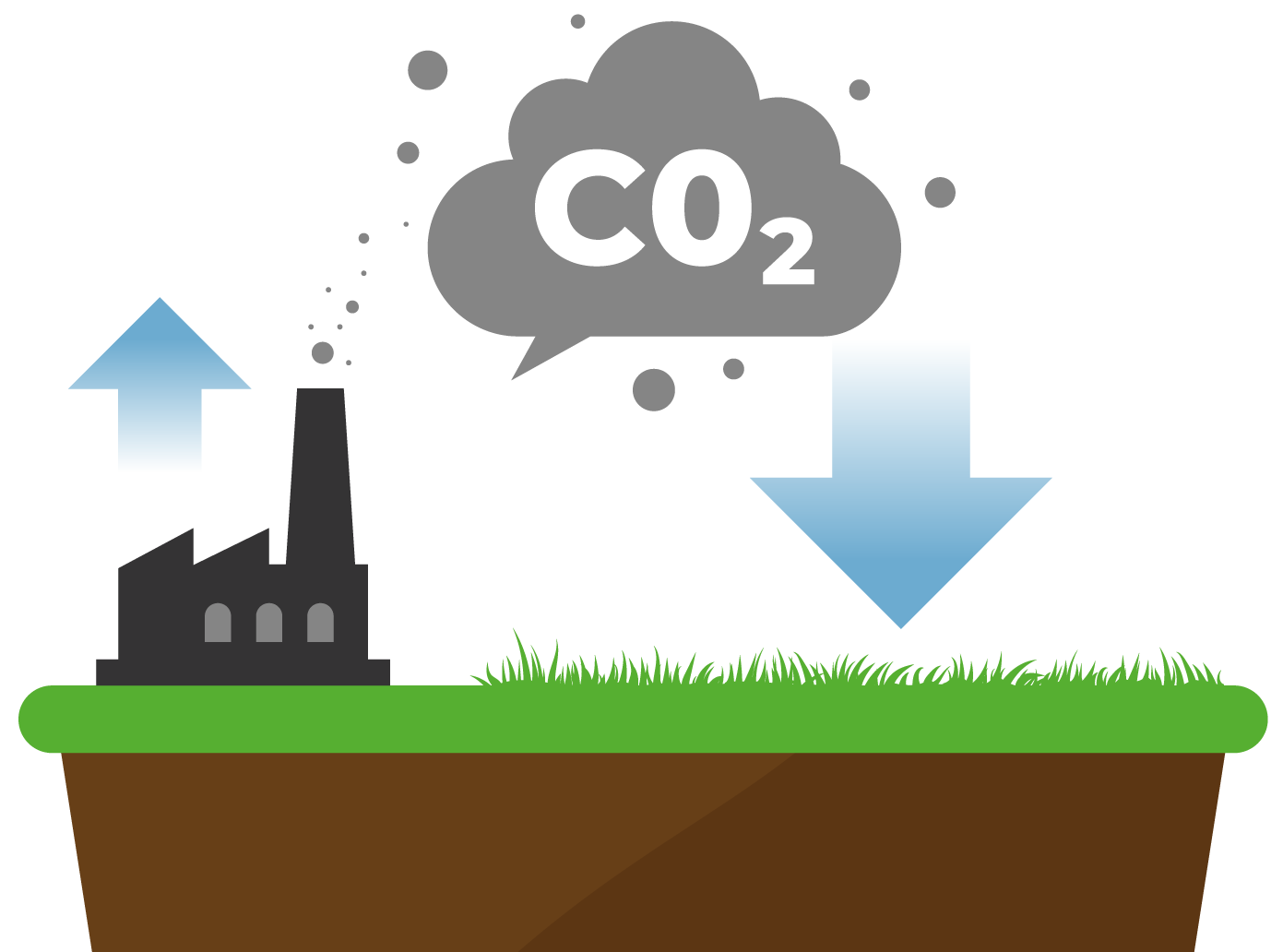 dcc-CO2-opname-in-bodem
