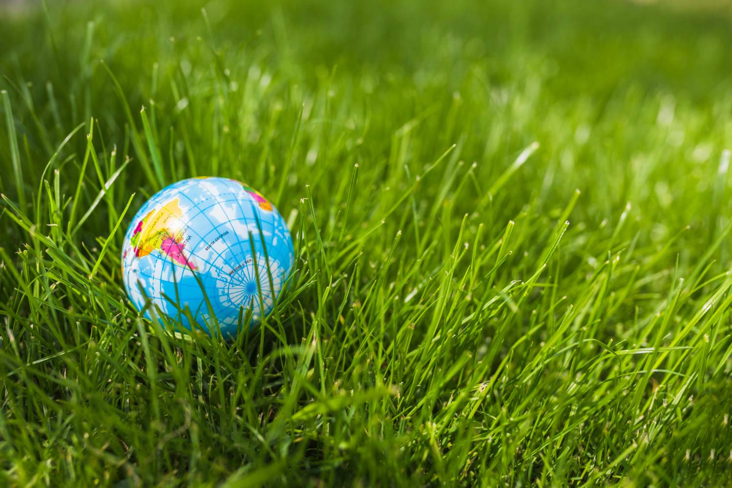 close-up-globe-ball-green-grass (1)